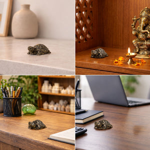 PYRITE TORTOISE FOR VAASTU & PROSPERITY